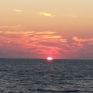 Meet your Posher, Andy